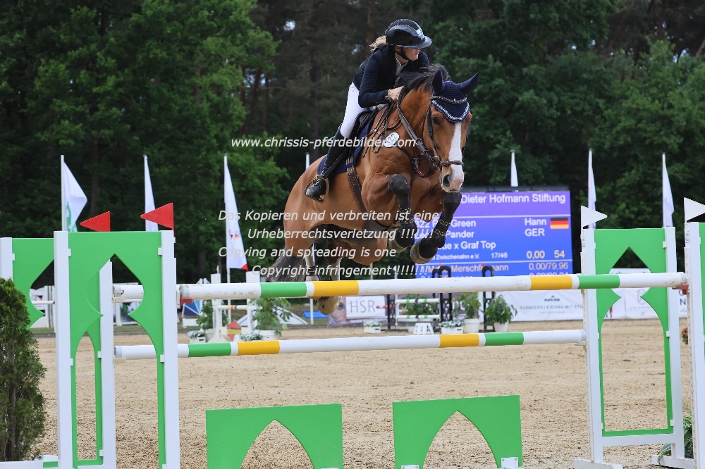 Preview leonie pander mit plot green IMG_1934.jpg
